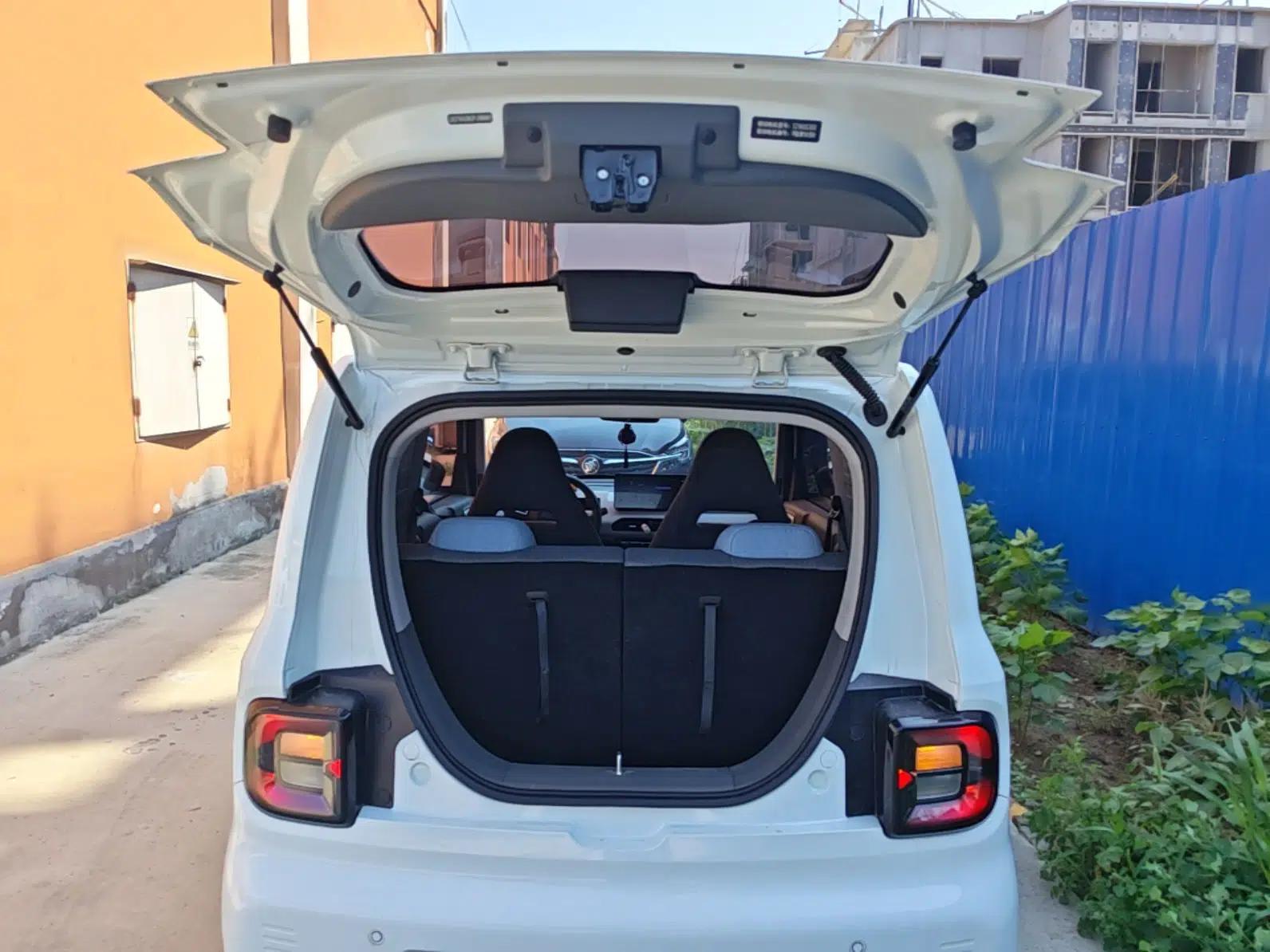 Geely Galaxy Panda 2023 Panda Mini 200km Endurance Bear — миниатюра 22