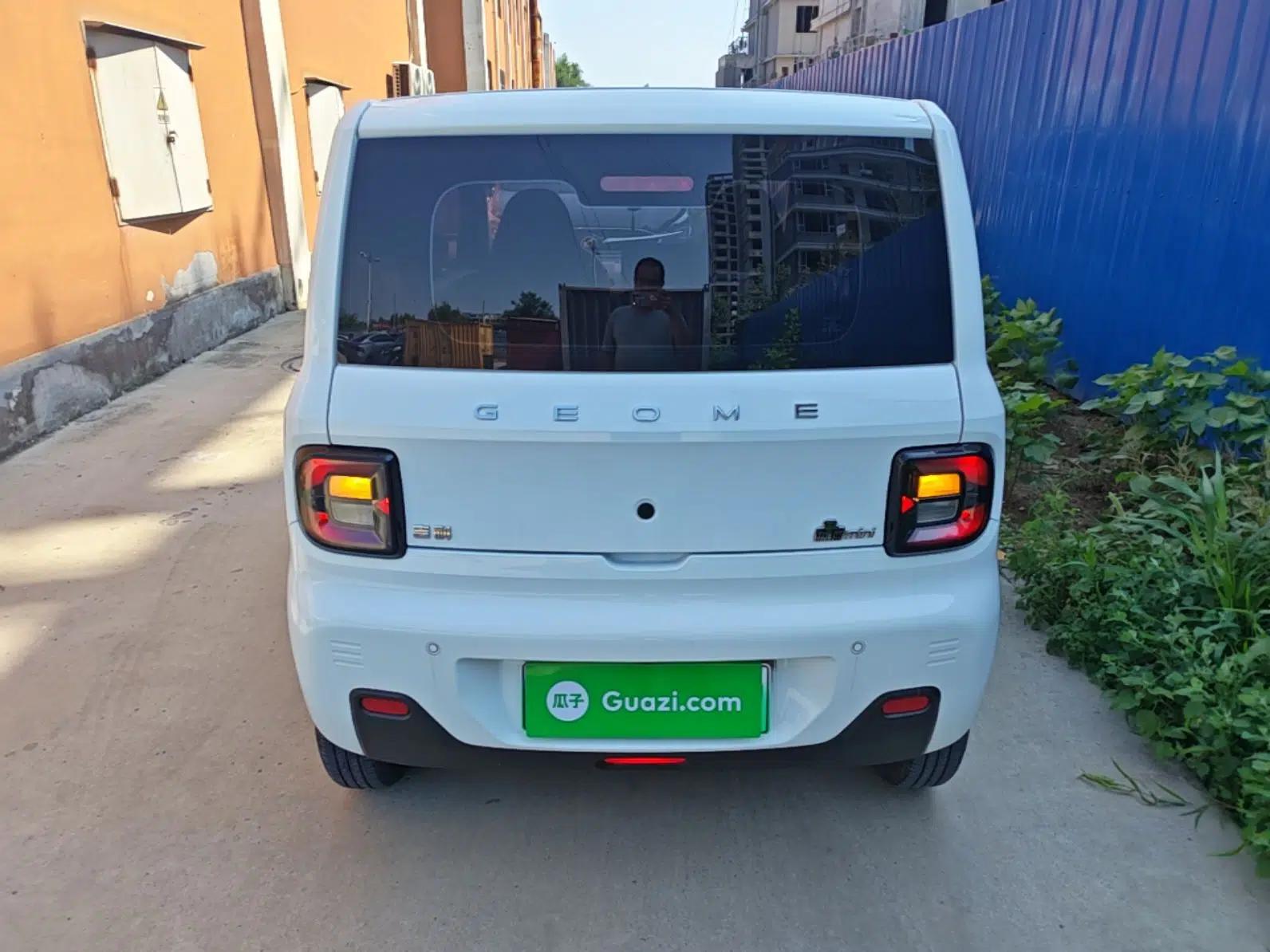 Geely Galaxy Panda 2023 Panda Mini 200km Endurance Bear — миниатюра 5