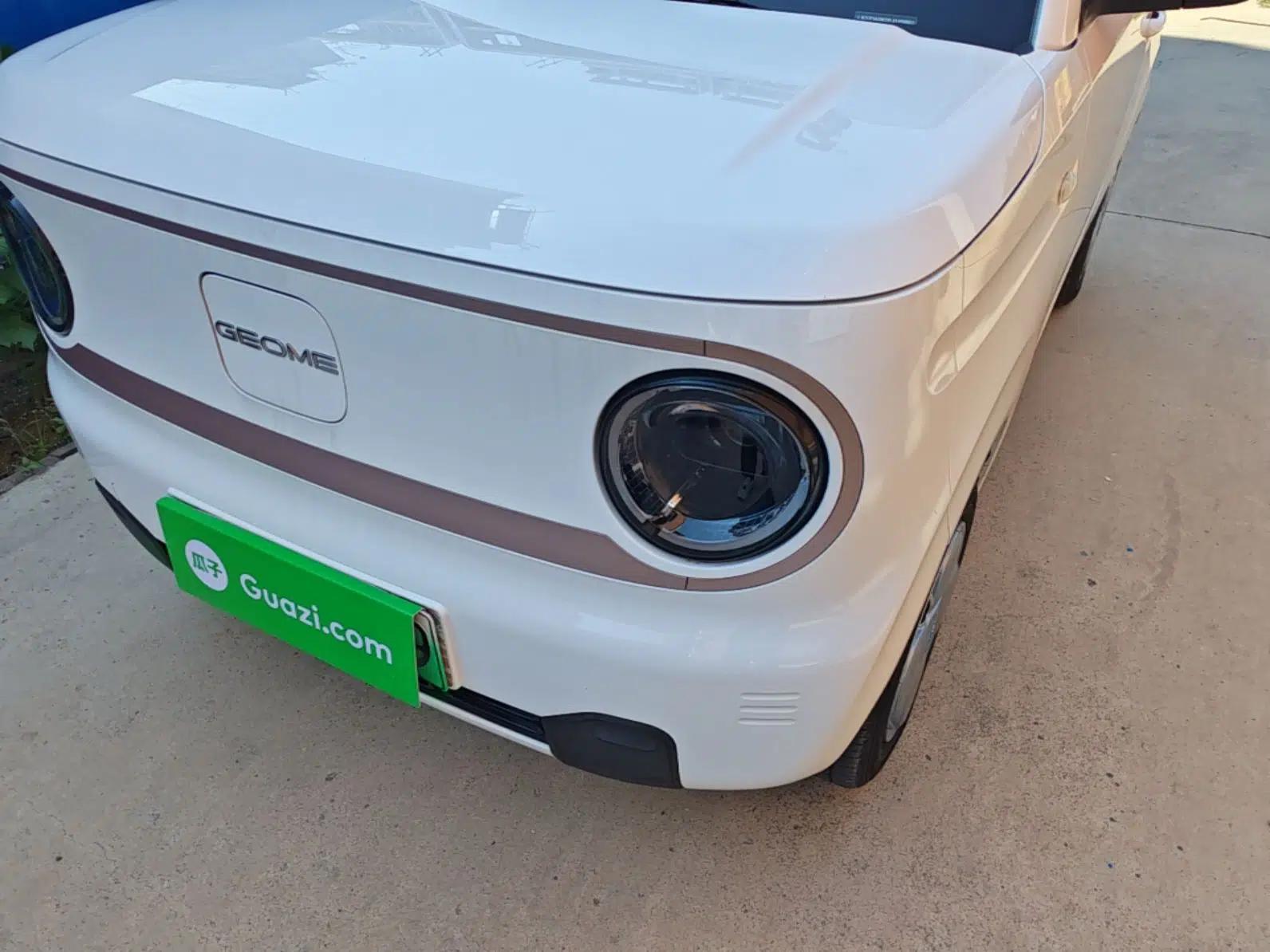 Geely Galaxy Panda 2023 Panda Mini 200km Endurance Bear — миниатюра 8