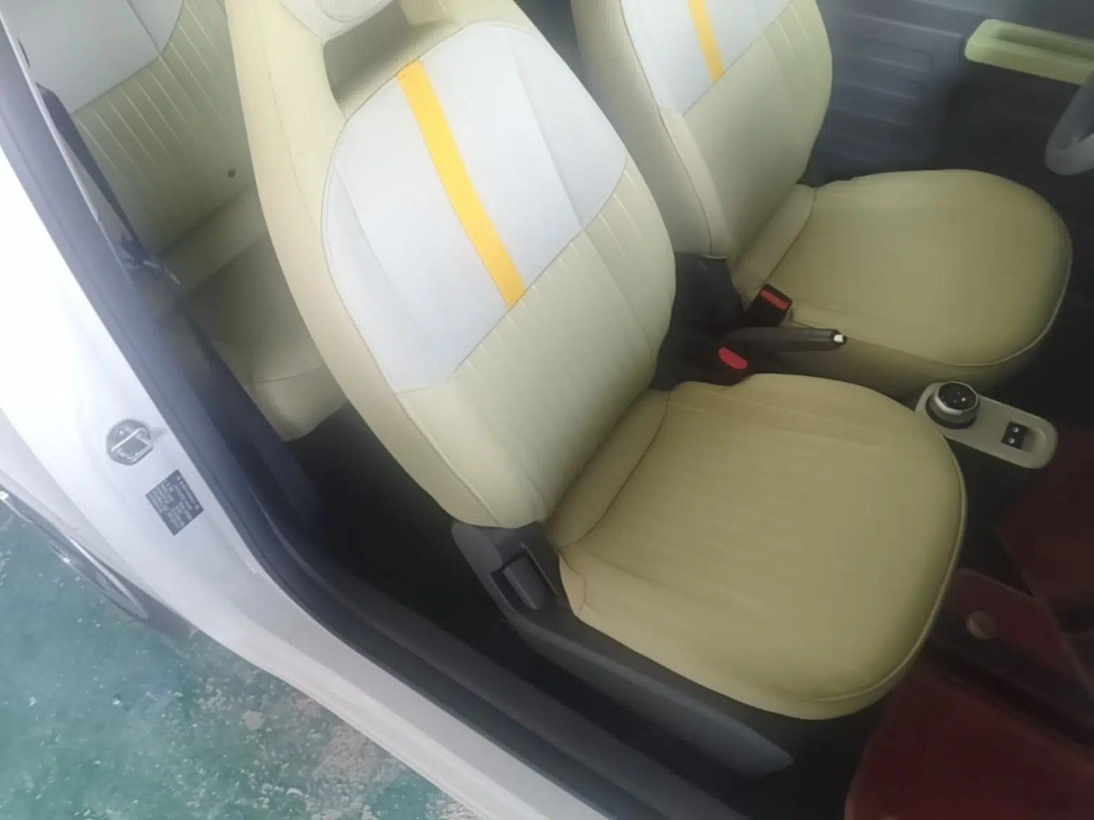 Geely Galaxy Panda 2023 Panda Mini 200km Dynamic Bear — миниатюра 19