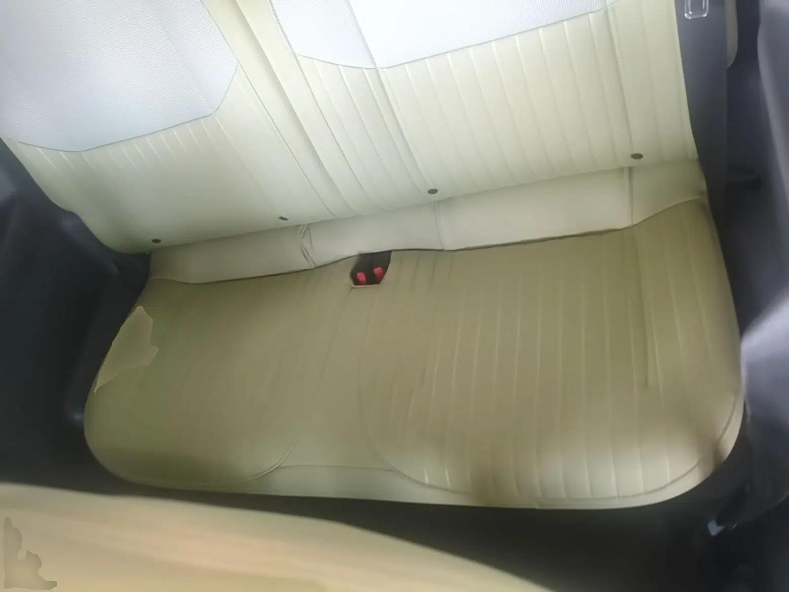 Geely Galaxy Panda 2023 Panda Mini 200km Dynamic Bear — миниатюра 20