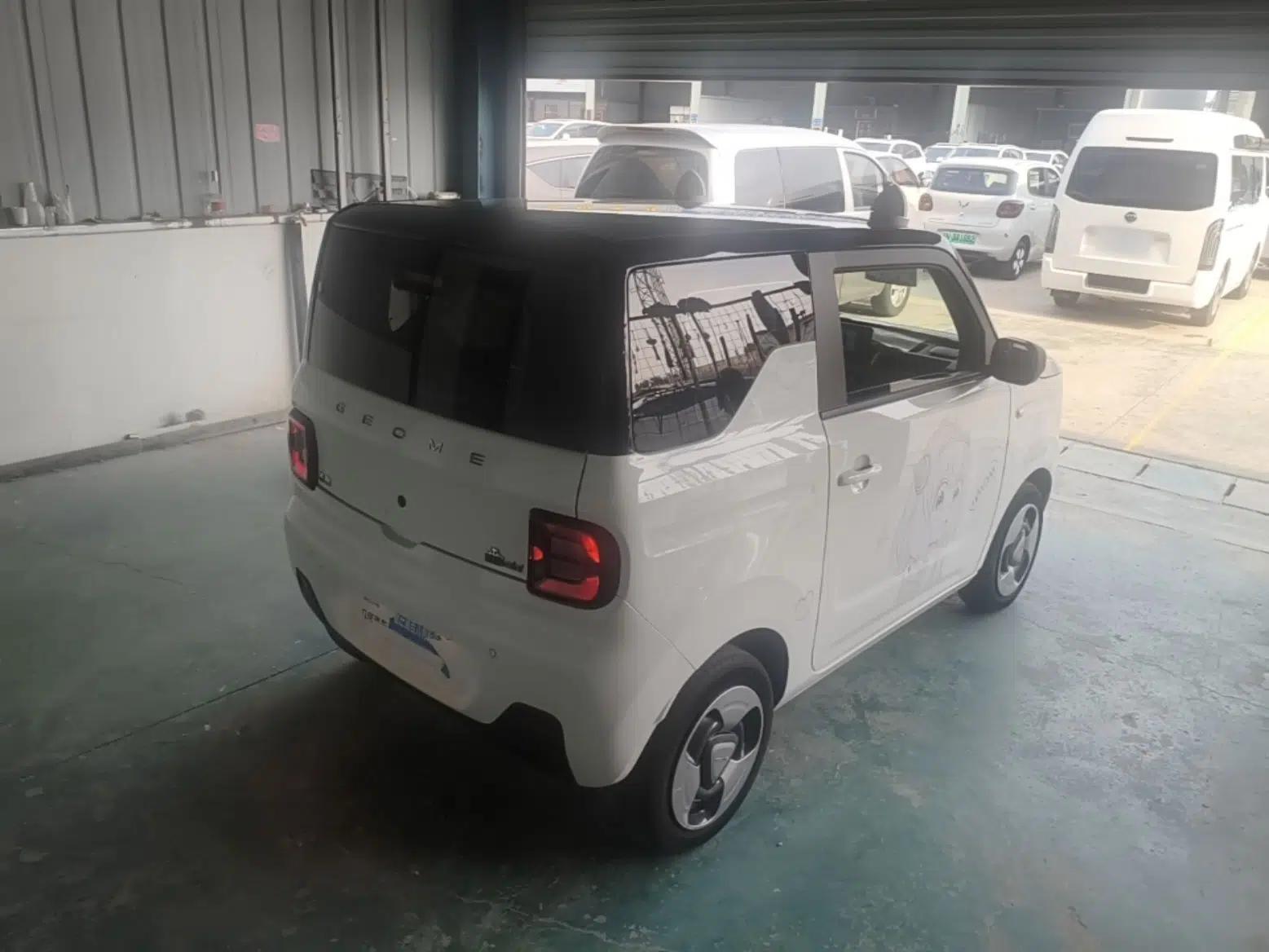 Geely Galaxy Panda 2023 Panda Mini 200km Dynamic Bear — миниатюра 6