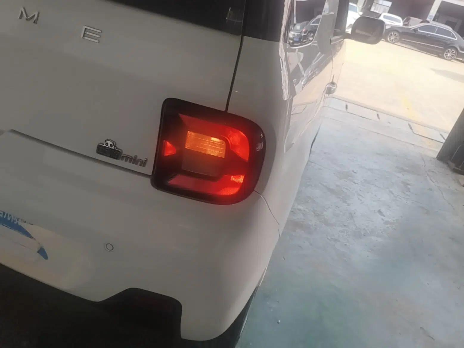 Geely Galaxy Panda 2023 Panda Mini 200km Dynamic Bear — миниатюра 9