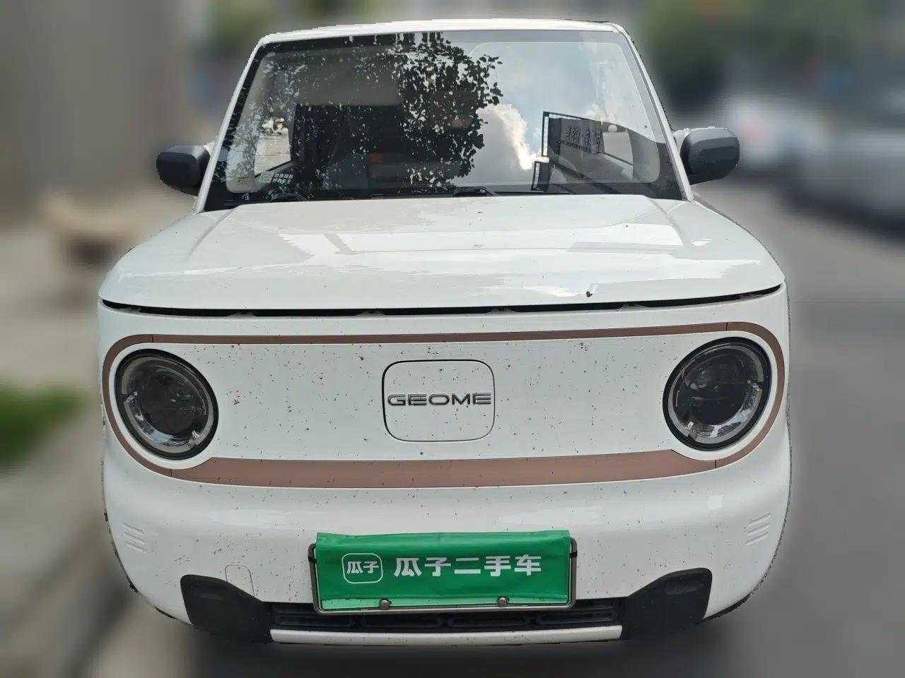 Geely Galaxy Panda 2024 Panda Mini 200km Endurance Bear — миниатюра 2