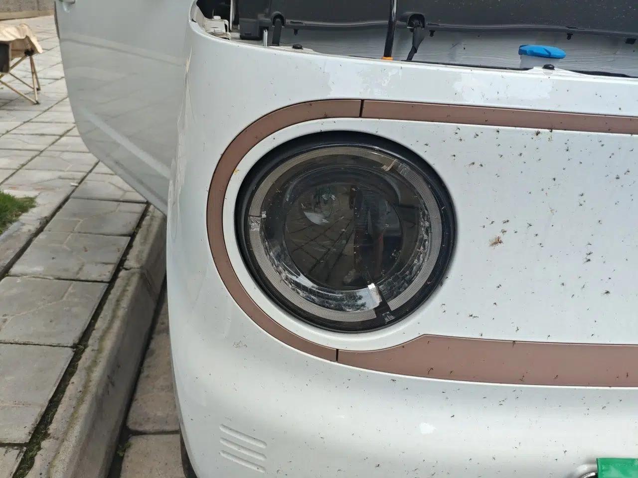Geely Galaxy Panda 2024 Panda Mini 200km Endurance Bear — миниатюра 7