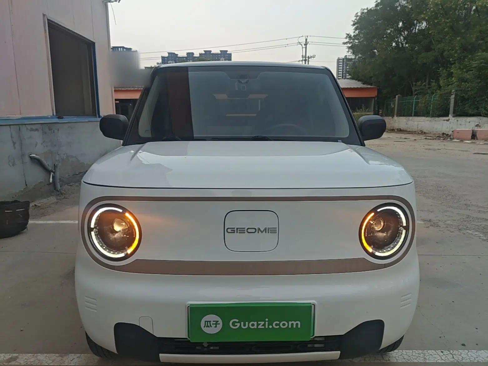 Geely Galaxy Panda 2023 Panda Mini 200km Endurance Bear — миниатюра 2