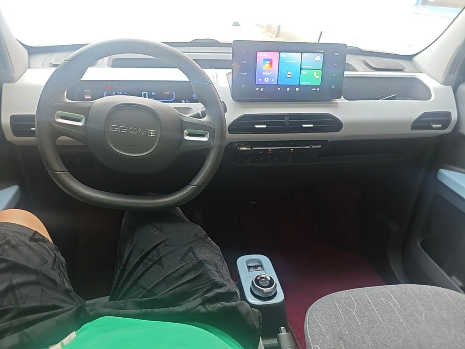 Geely Galaxy Panda 2023 Panda Mini 200km Endurance Bear — миниатюра 12