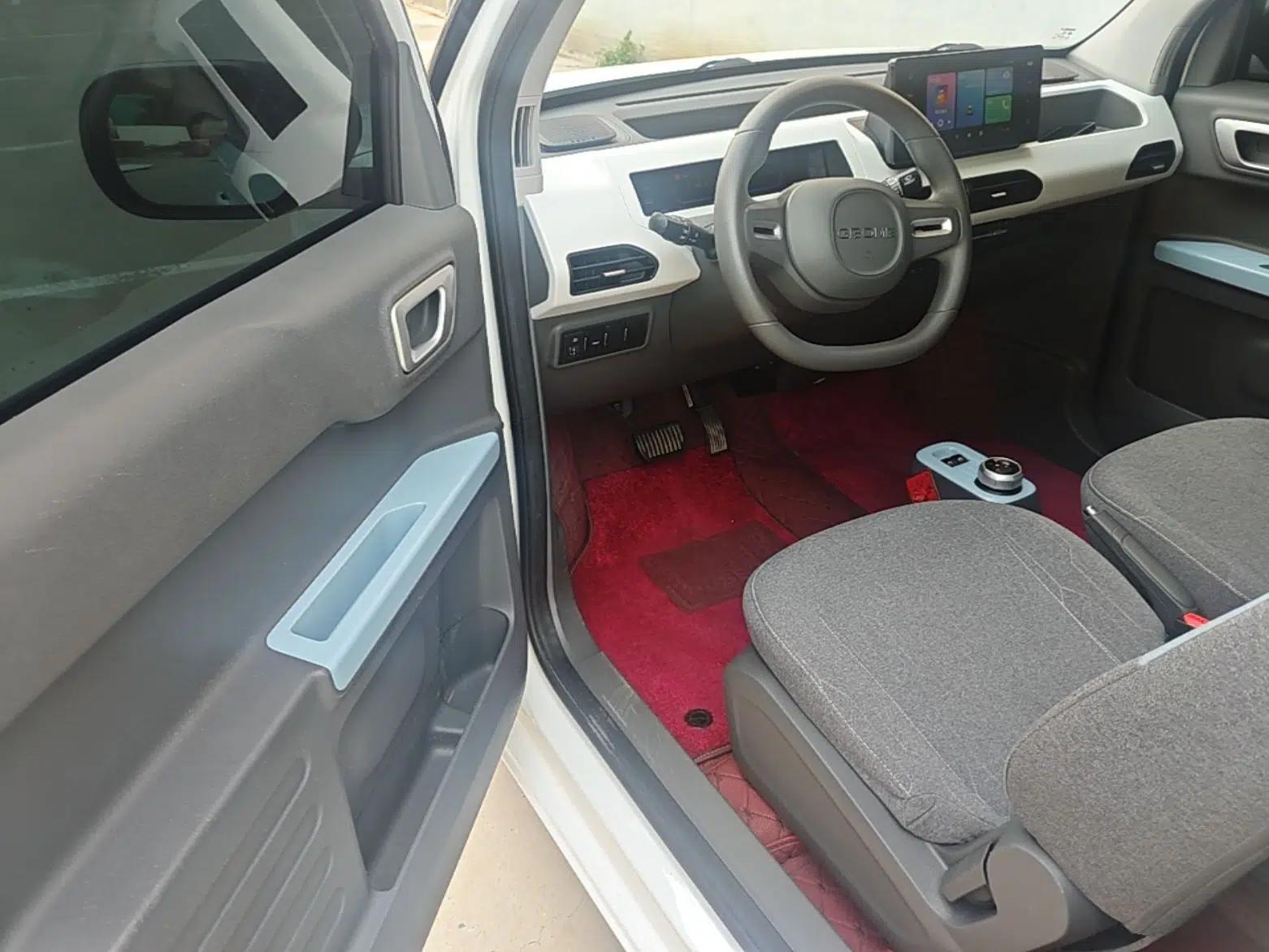 Geely Galaxy Panda 2023 Panda Mini 200km Endurance Bear — миниатюра 18