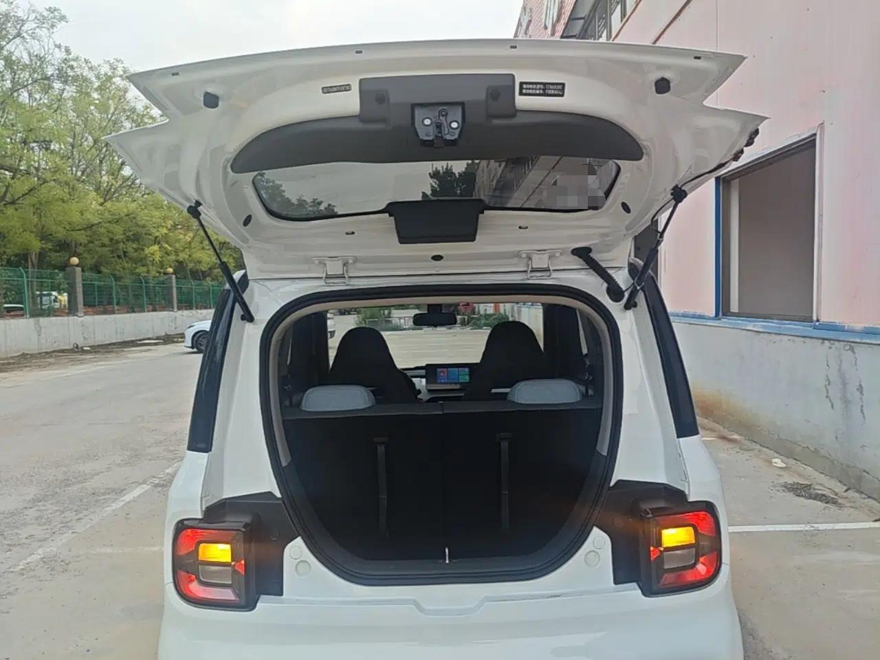 Geely Galaxy Panda 2023 Panda Mini 200km Endurance Bear — миниатюра 22