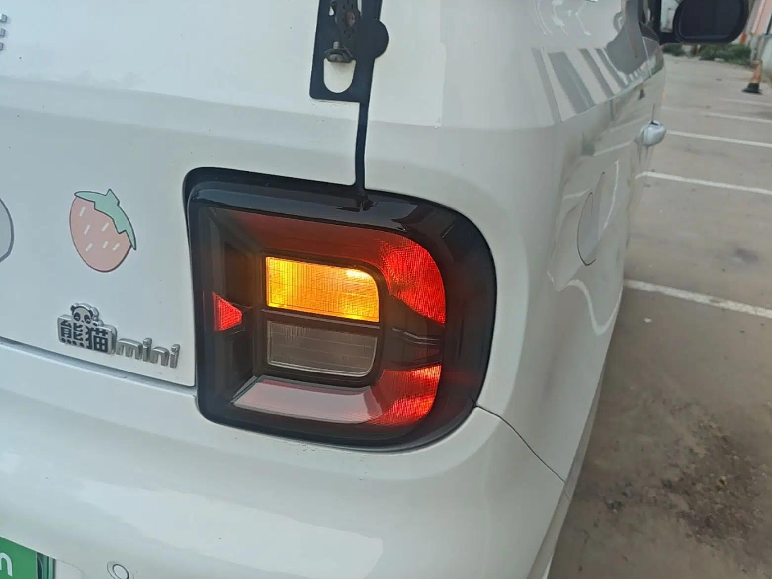 Geely Galaxy Panda 2023 Panda Mini 200km Endurance Bear — миниатюра 9