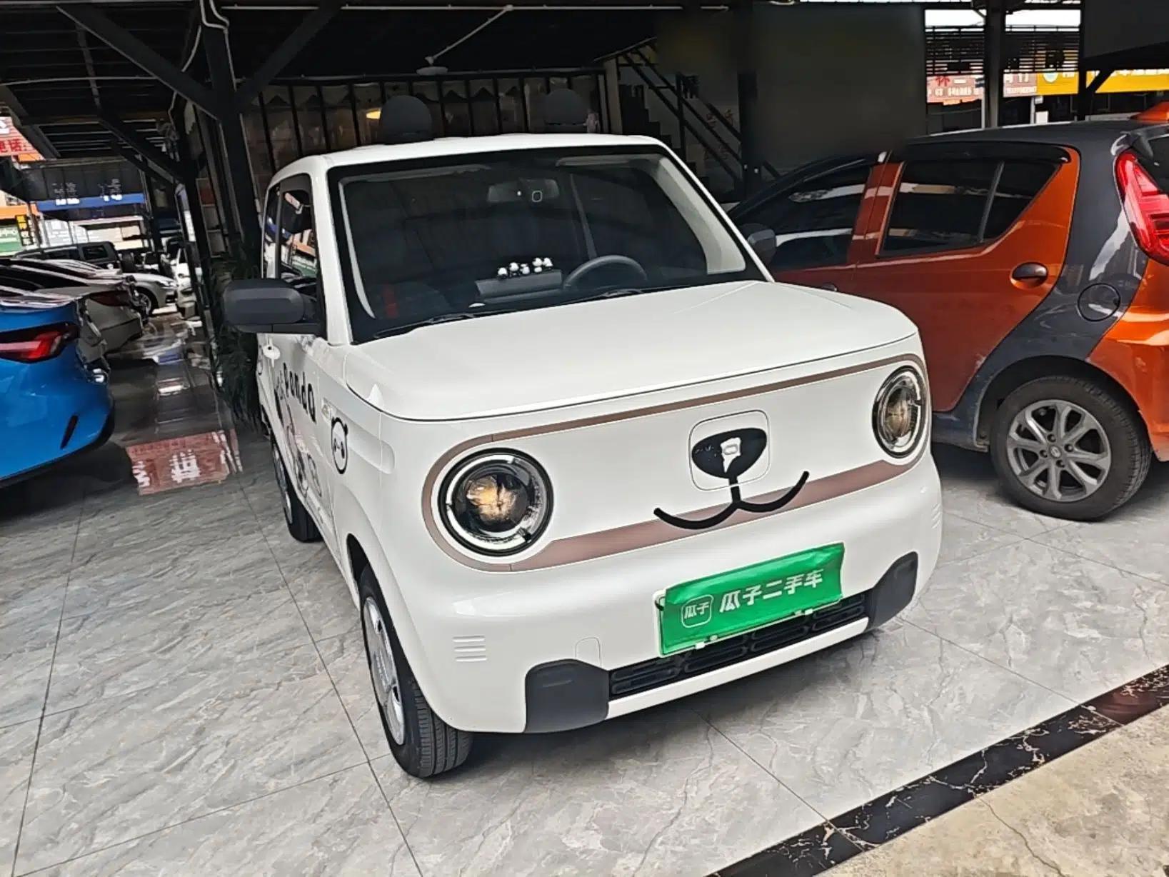 Geely Galaxy Panda 2023 Panda Mini 200km Endurance Bear — миниатюра 3