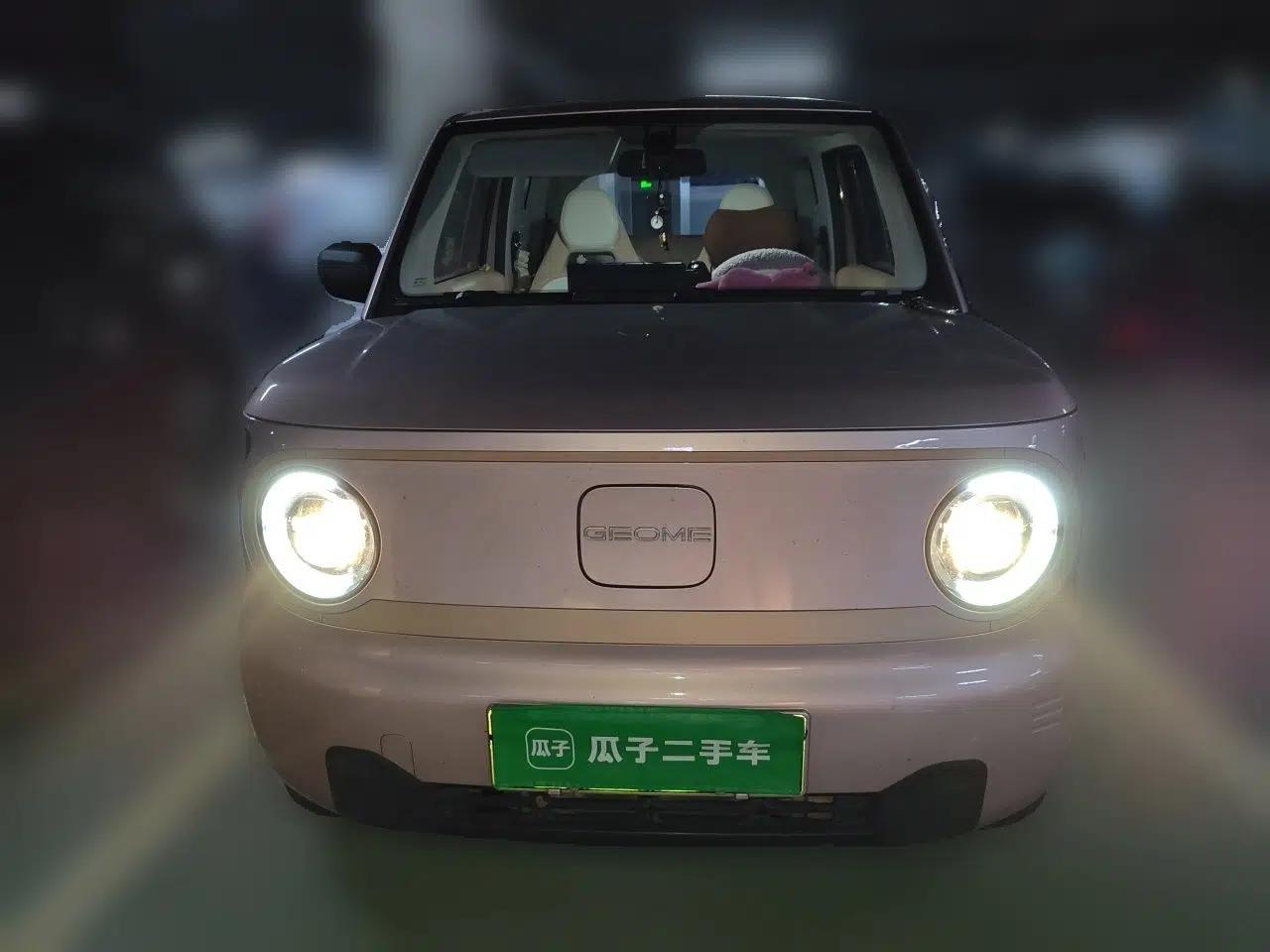 Geely Galaxy Panda 2023 Panda Mini 200km Endurance Bear — миниатюра 2