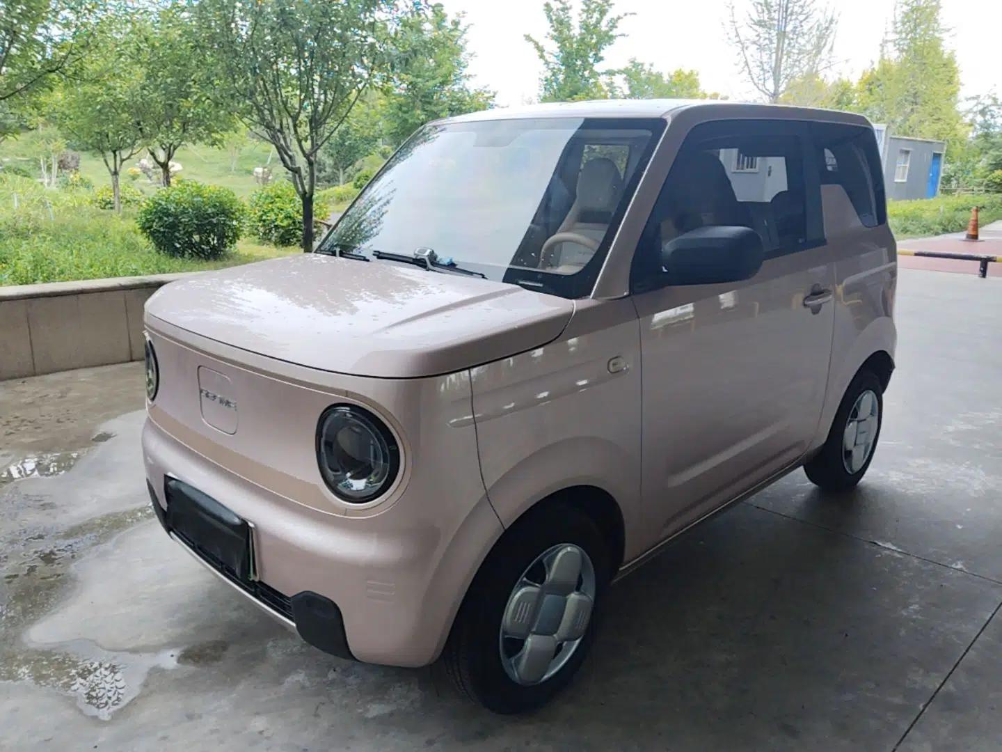 Geely Galaxy Panda 2024 Panda Mini 200km Endurance Bear — миниатюра 1