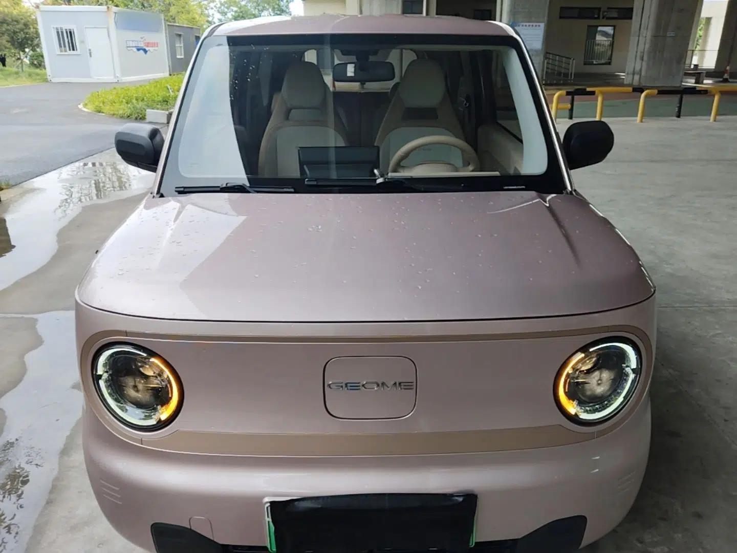 Geely Galaxy Panda 2024 Panda Mini 200km Endurance Bear — миниатюра 2