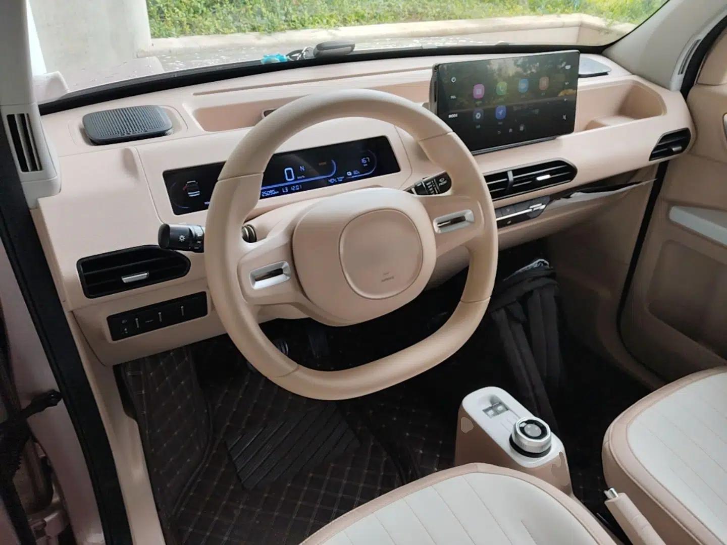 Geely Galaxy Panda 2024 Panda Mini 200km Endurance Bear — миниатюра 12