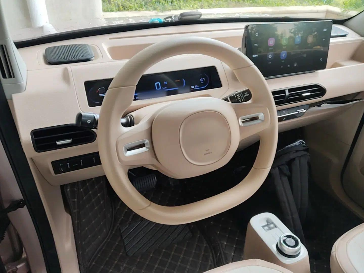 Geely Galaxy Panda 2024 Panda Mini 200km Endurance Bear — миниатюра 13