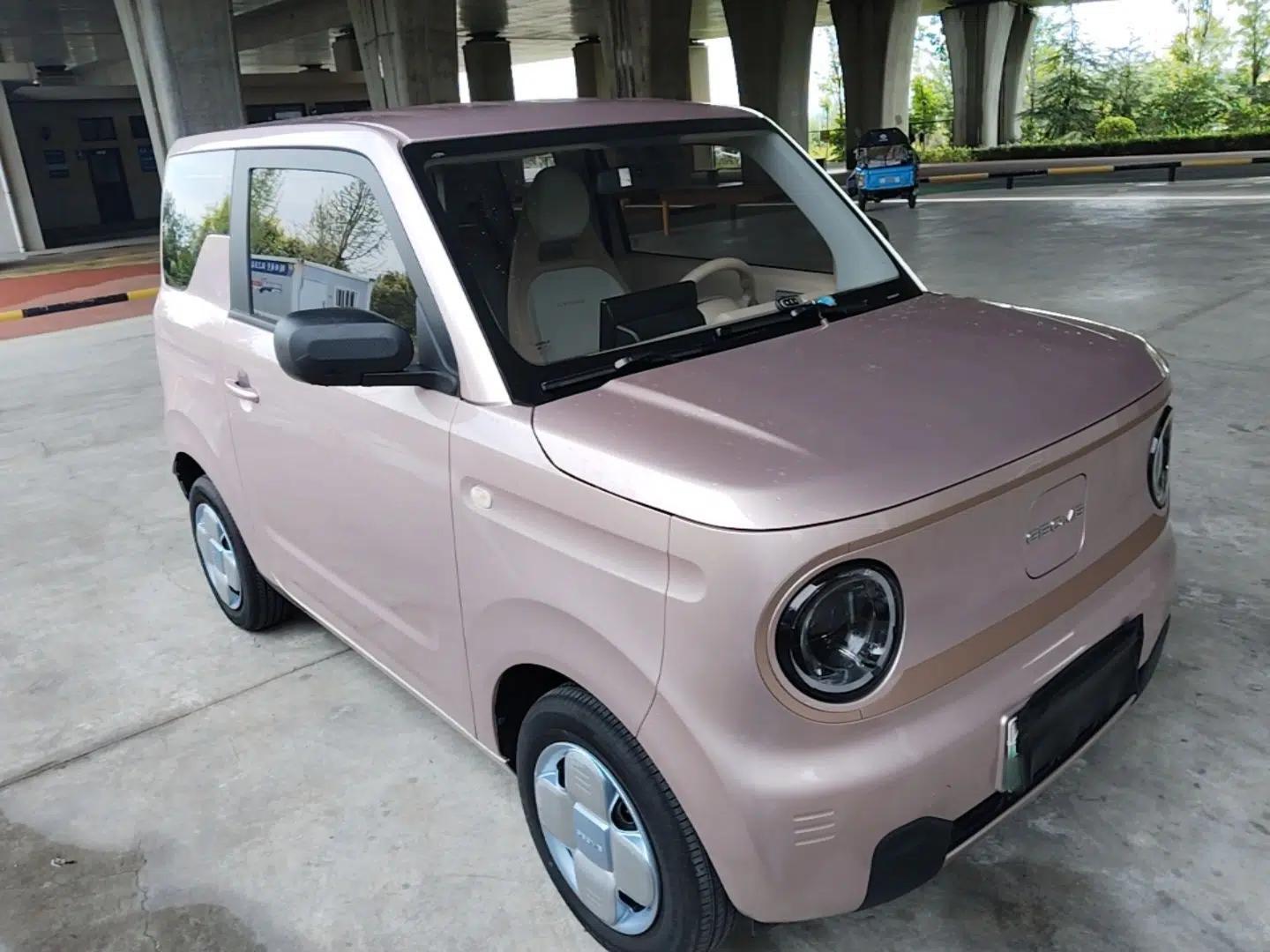 Geely Galaxy Panda 2024 Panda Mini 200km Endurance Bear — миниатюра 3