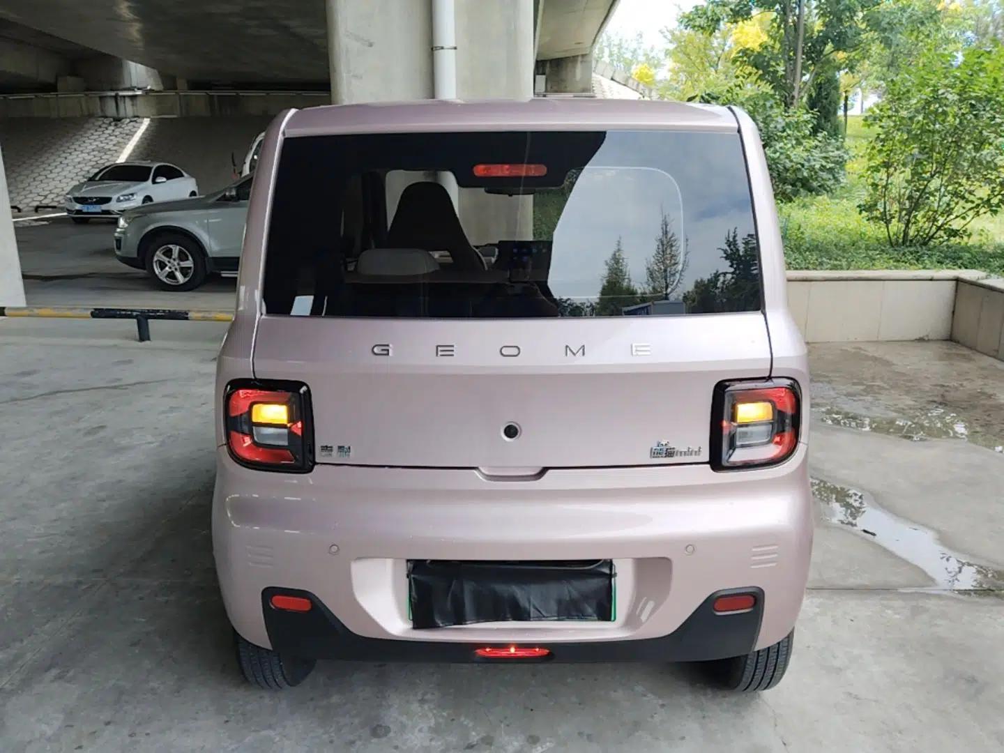 Geely Galaxy Panda 2024 Panda Mini 200km Endurance Bear — миниатюра 5
