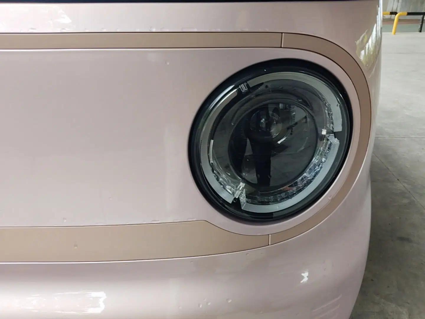 Geely Galaxy Panda 2024 Panda Mini 200km Endurance Bear — миниатюра 8