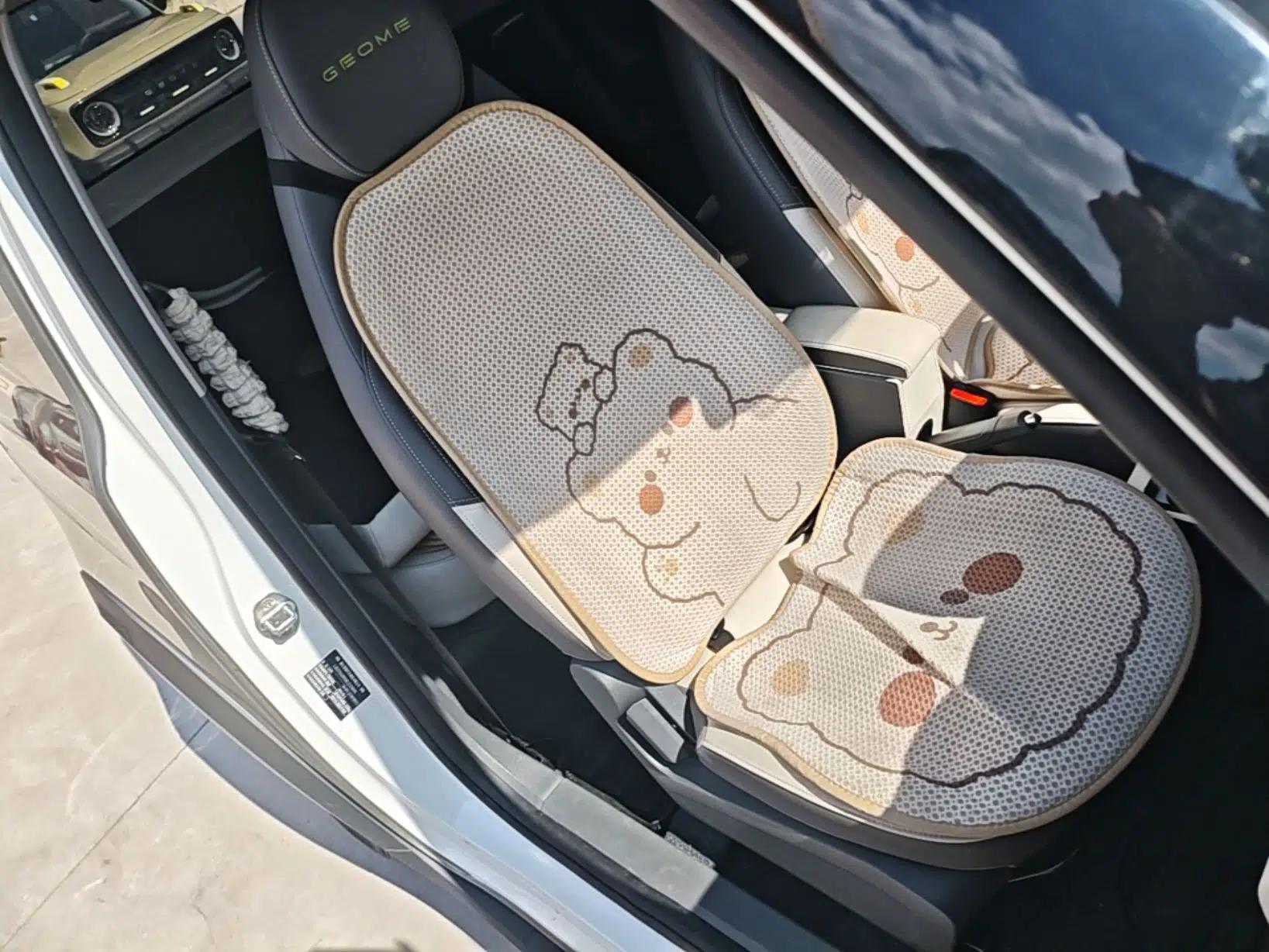 Geely Galaxy Panda 2024 200km Panda Rider — миниатюра 19