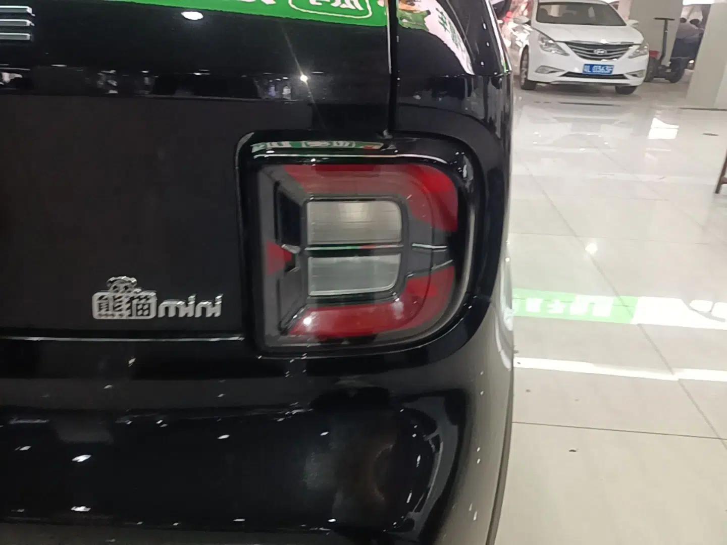 Geely Galaxy Panda 2025 210km Panda Kart — миниатюра 9