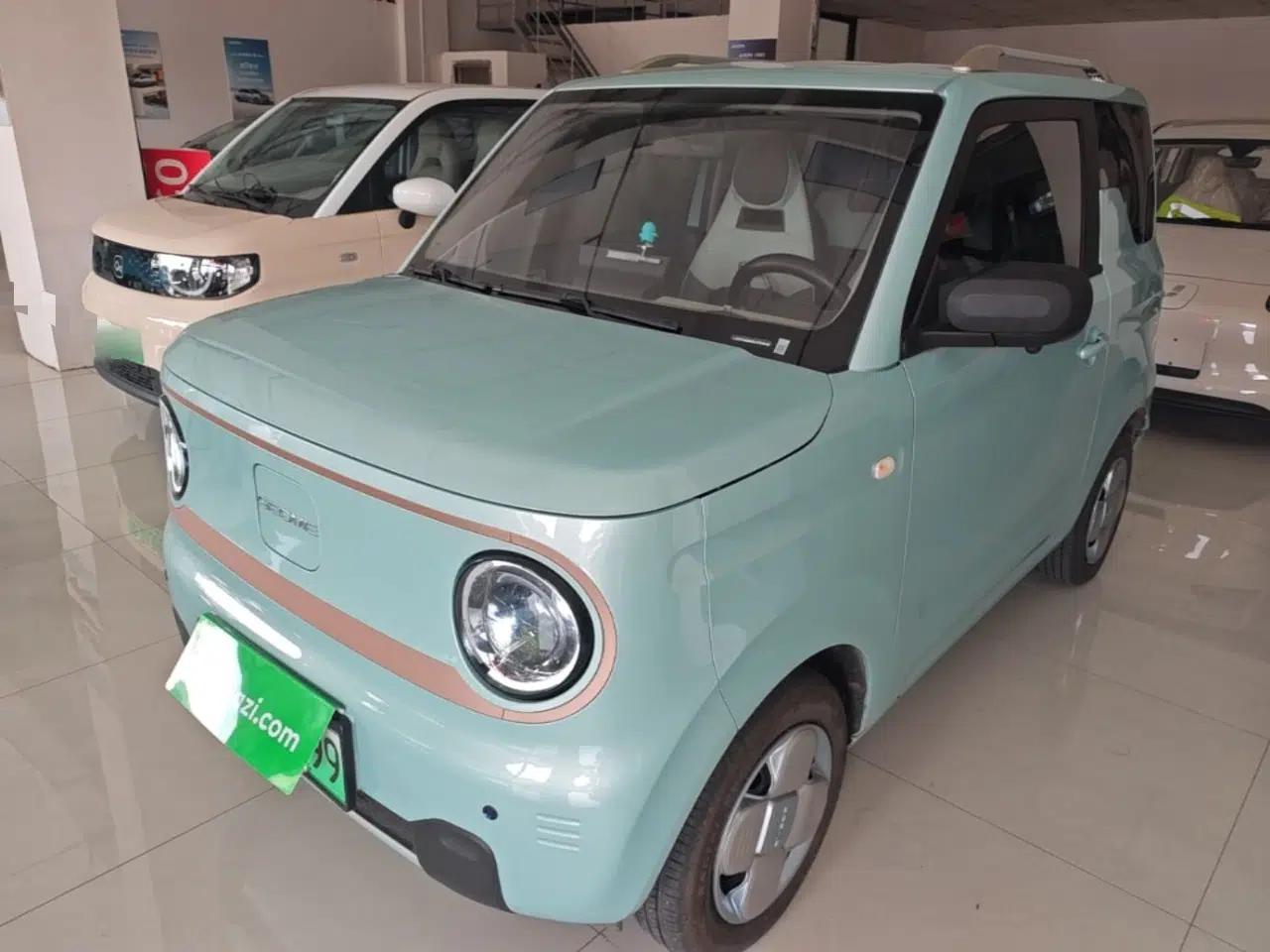 Geely Galaxy Panda 2024 Panda Mini 200km Endurance Bear — миниатюра 1