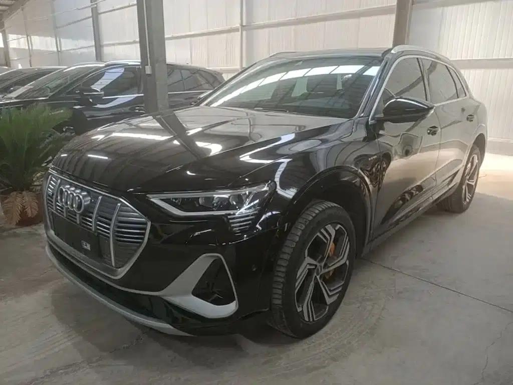 Audi e-tron 2021 50 quattro Premium Edition — миниатюра 1