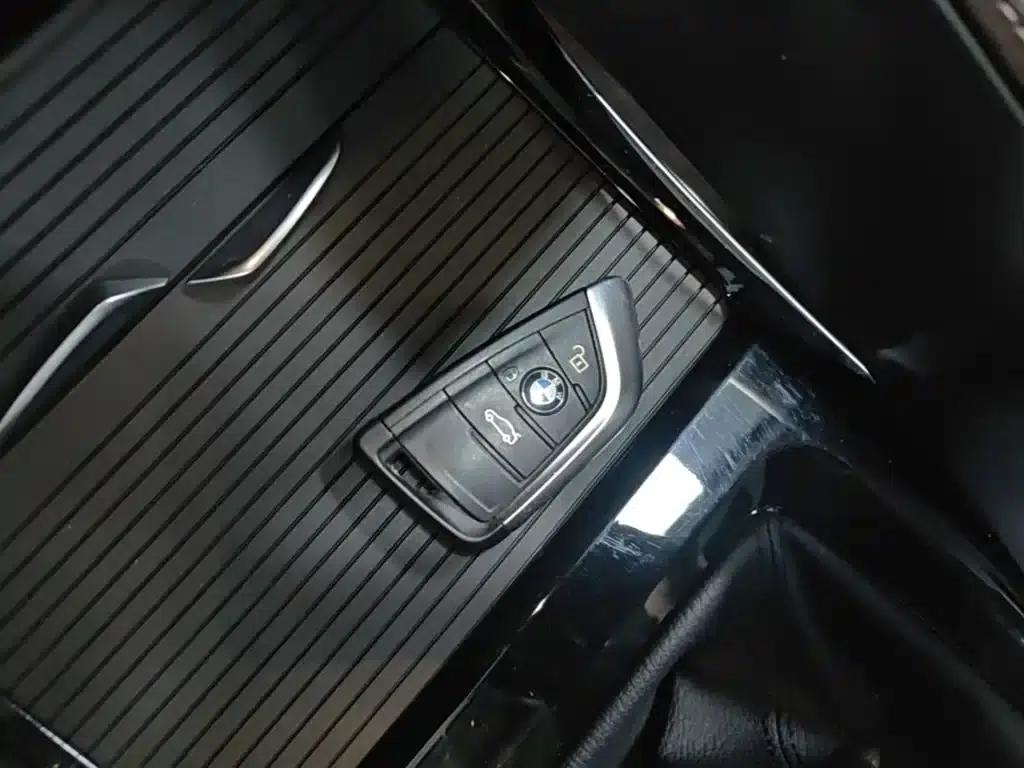 BMW X1 PHEV 2020 xDrive30Le Premium — миниатюра 9
