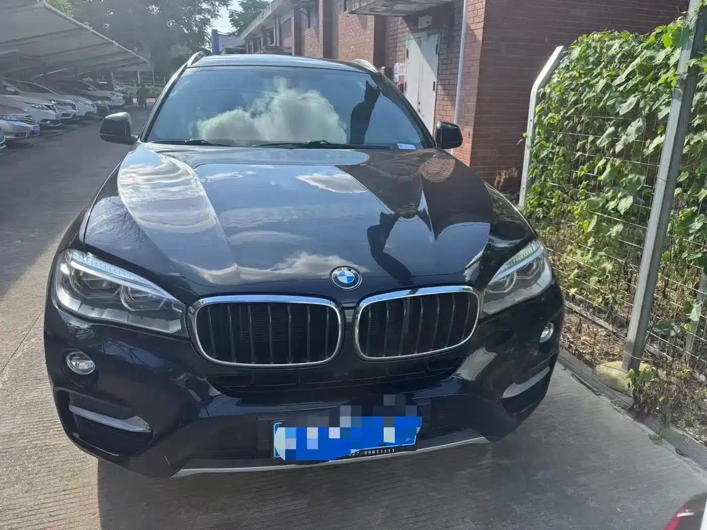 BMW X6 2017 xDrive35i Leading Edition — миниатюра 3