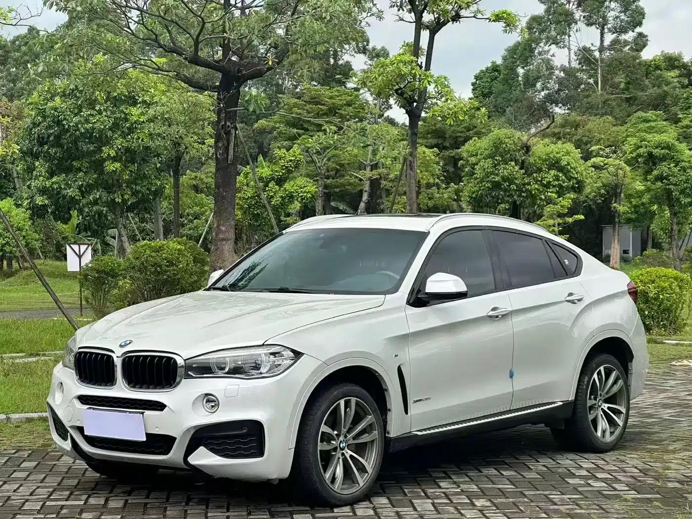 2019 BMW X6 xDrive28i M Sport Package — миниатюра 1