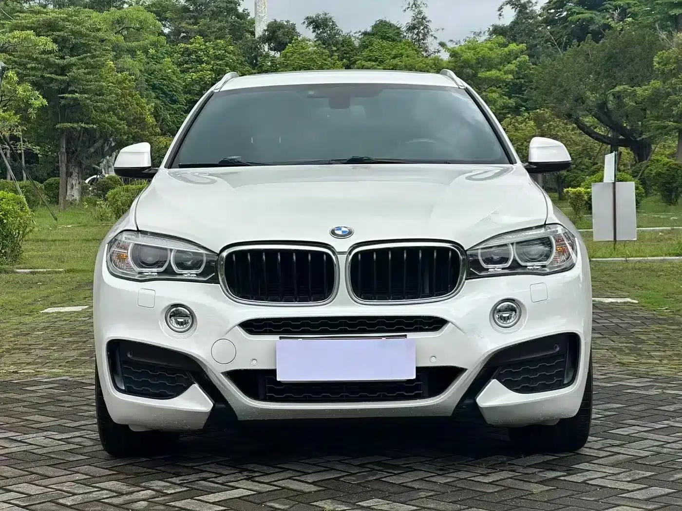 2019 BMW X6 xDrive28i M Sport Package — миниатюра 2