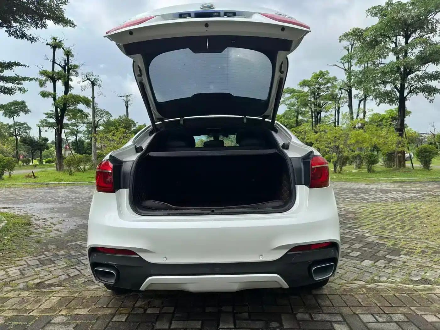 2019 BMW X6 xDrive28i M Sport Package — миниатюра 11