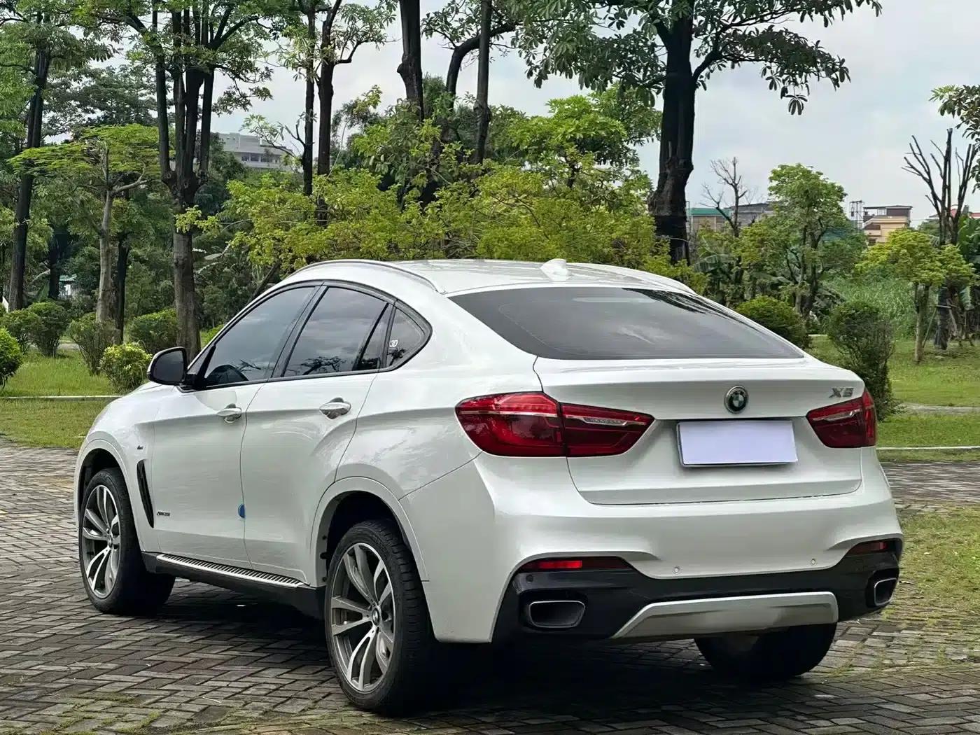 2019 BMW X6 xDrive28i M Sport Package — миниатюра 14
