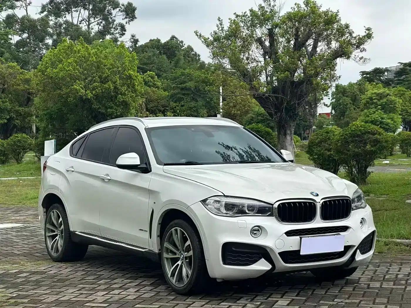 2019 BMW X6 xDrive28i M Sport Package — миниатюра 3