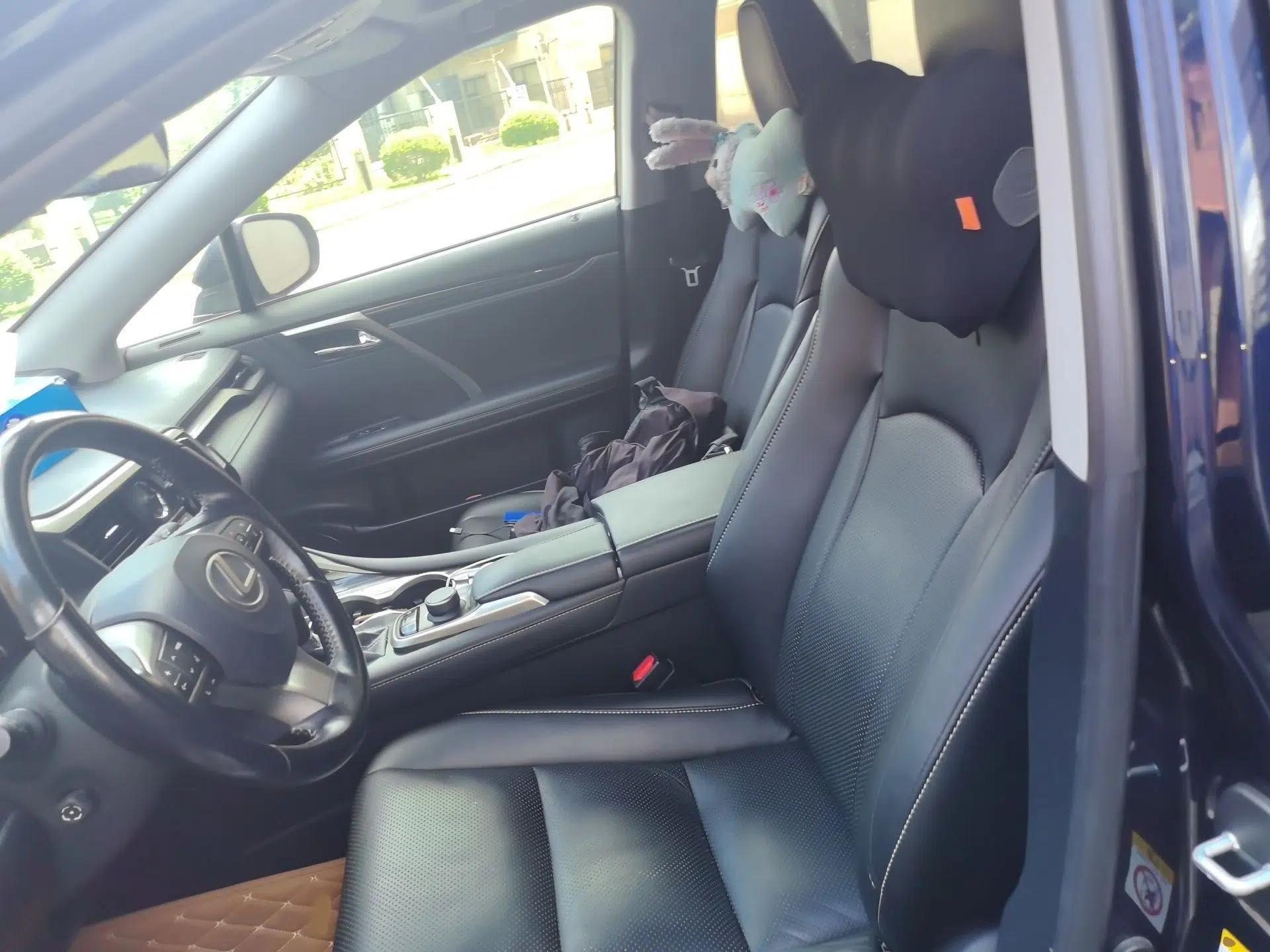 Lexus RX 2016 300 Two-Wheel Drive Elite Version China V Standard — миниатюра 14
