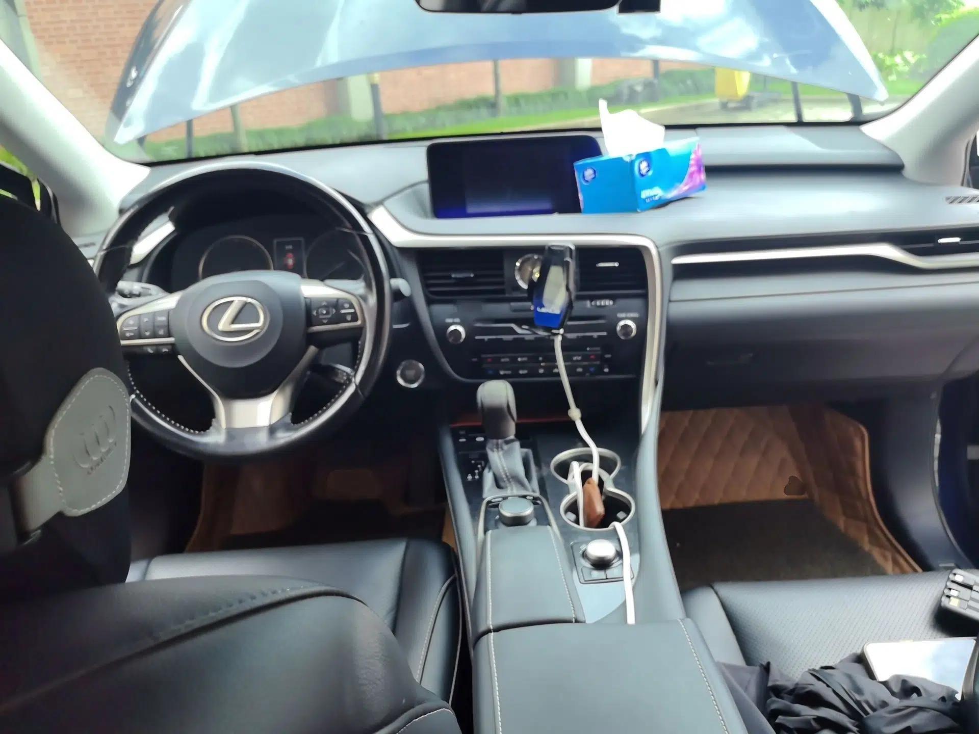 Lexus RX 2016 300 Two-Wheel Drive Elite Version China V Standard — миниатюра 18
