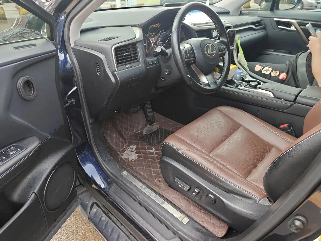 Lexus RX 2016 300 Two-Wheel Drive Elite Version China V Standard — миниатюра 16