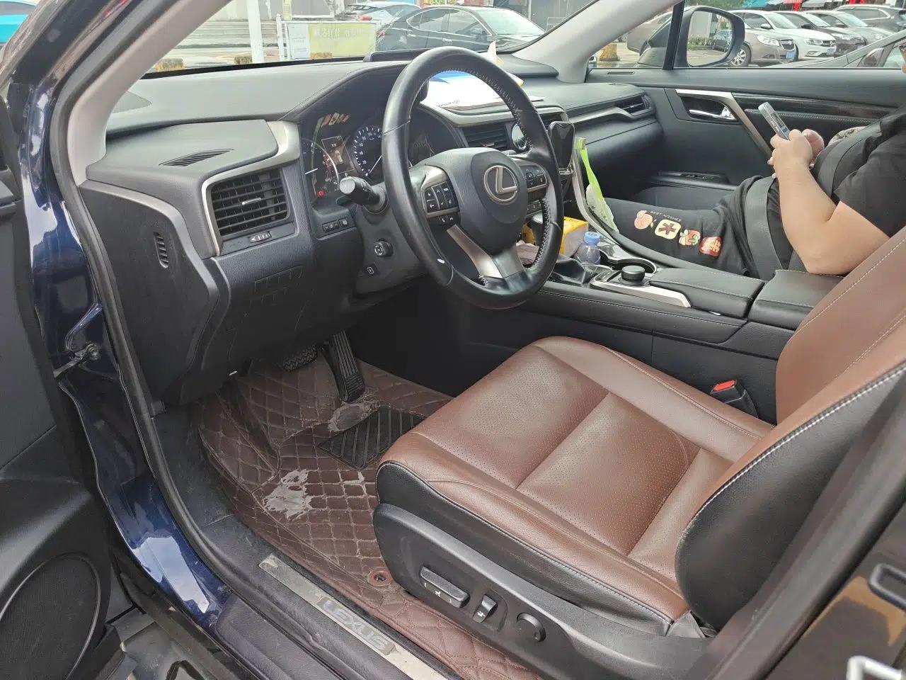 Lexus RX 2016 300 Two-Wheel Drive Elite Version China V Standard — миниатюра 18