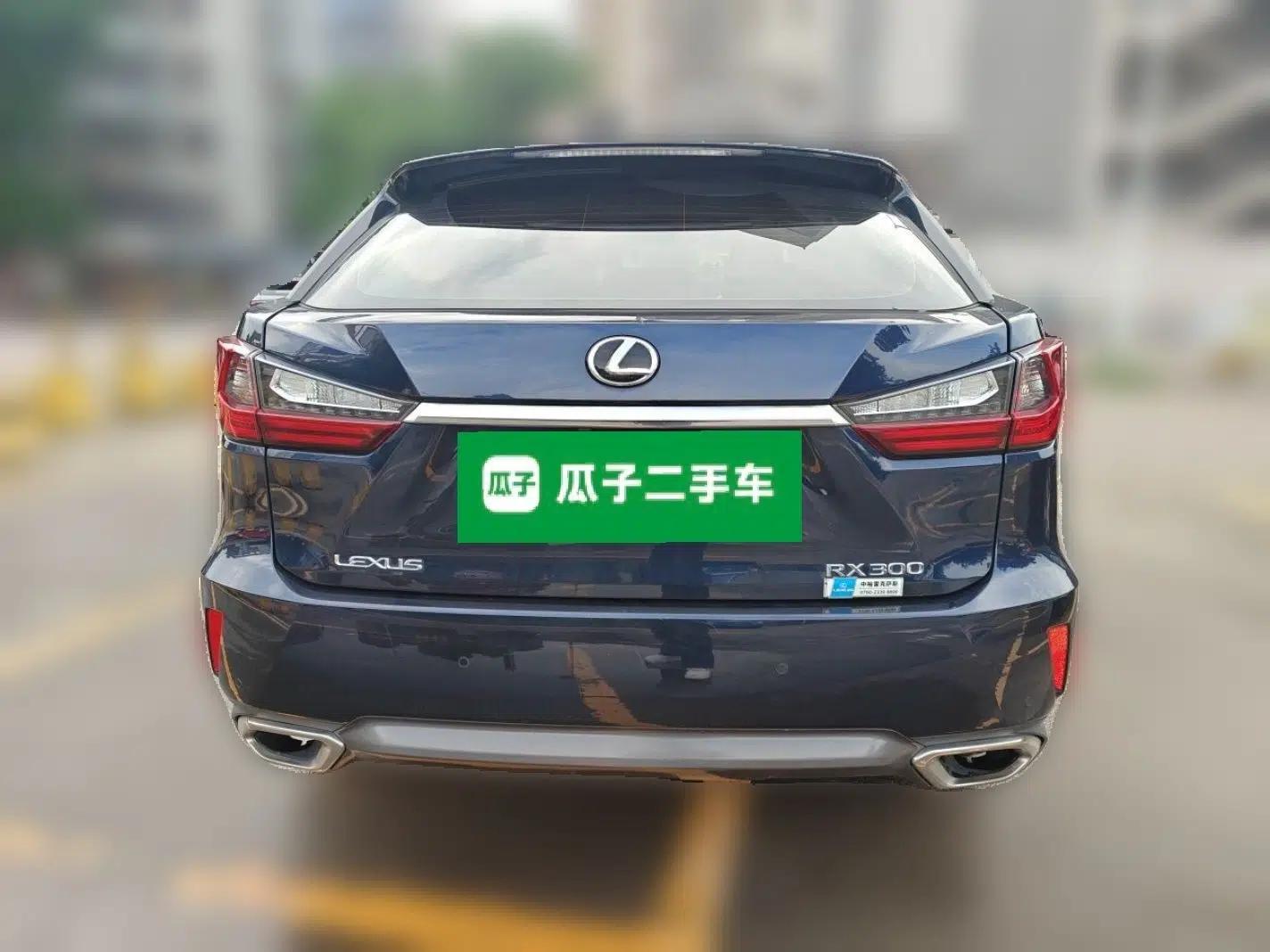 Lexus RX 2016 300 Two-Wheel Drive Elite Version China V Standard — миниатюра 5