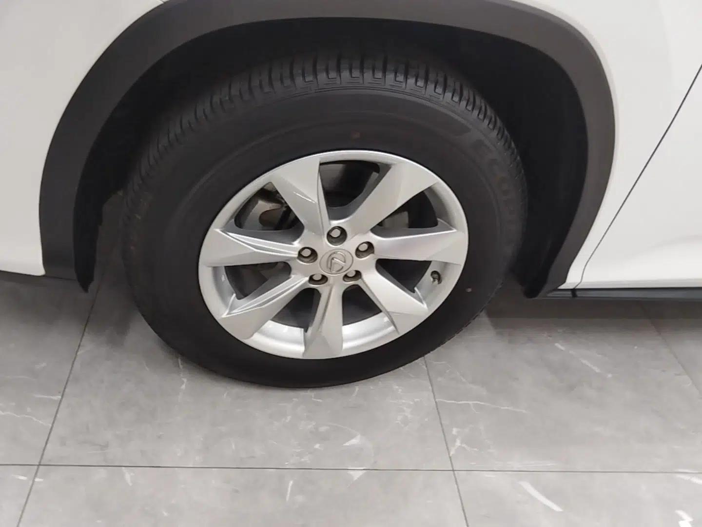 Lexus RX 2016 300 Two-Wheel Drive Elite Version China V Standard — миниатюра 10