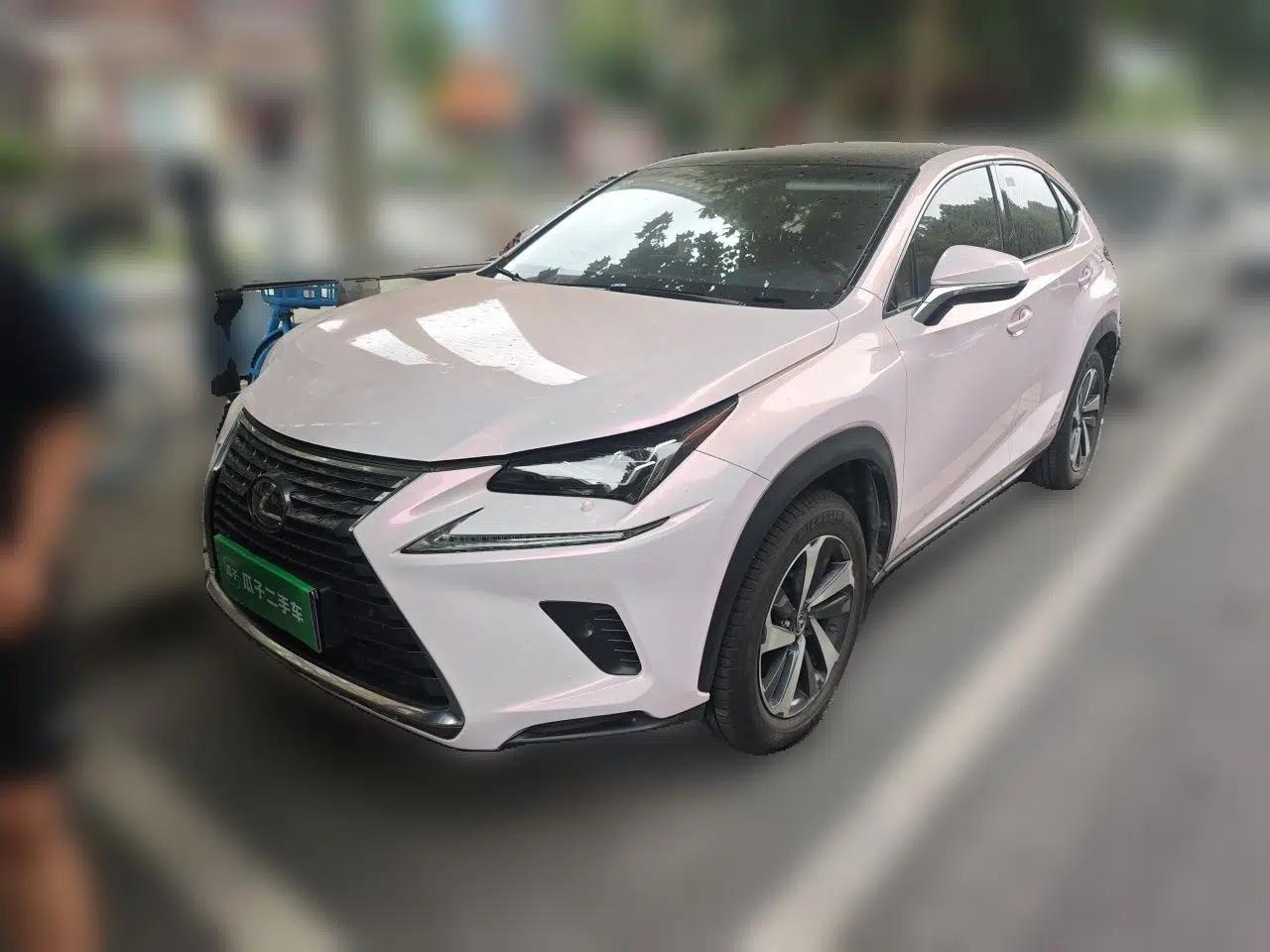 Lexus NX 2017 300h All-Wheel Drive Fongzhi Edition — миниатюра 1
