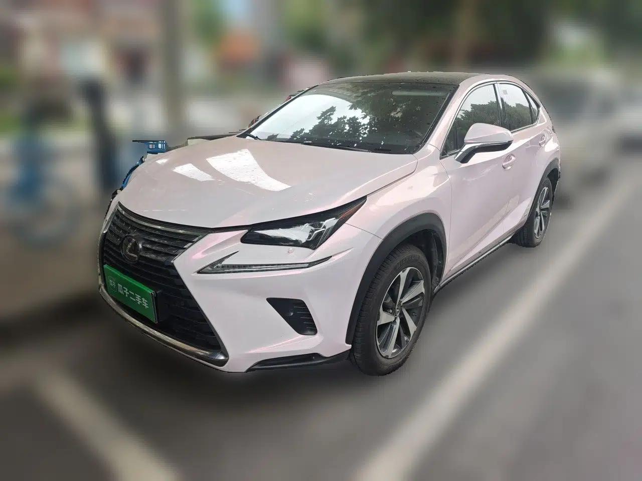 Lexus NX 2017 300h All-Wheel Drive Fongzhi Edition — миниатюра 2