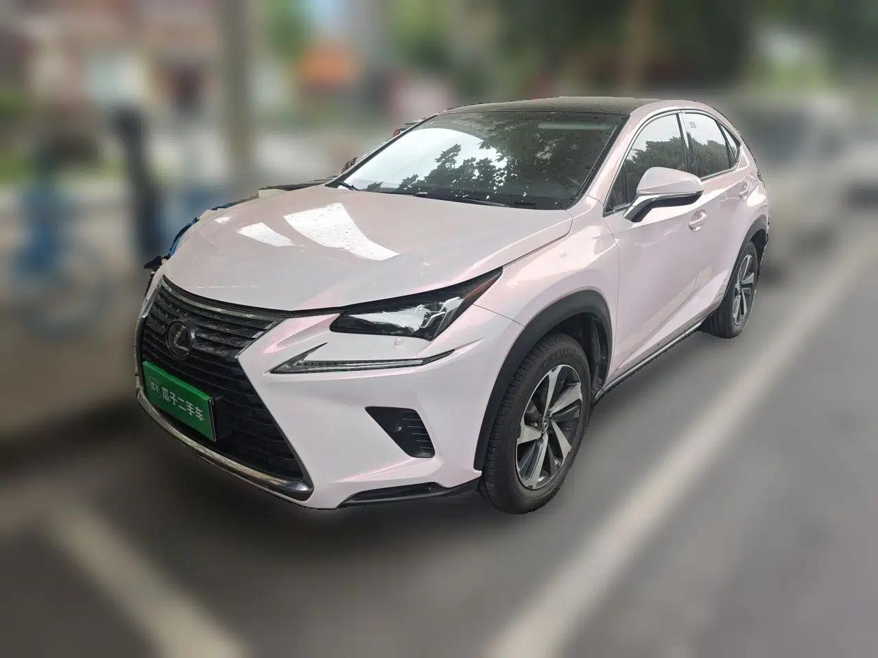 Lexus NX 2017 300h All-Wheel Drive Fongzhi Edition — миниатюра 3