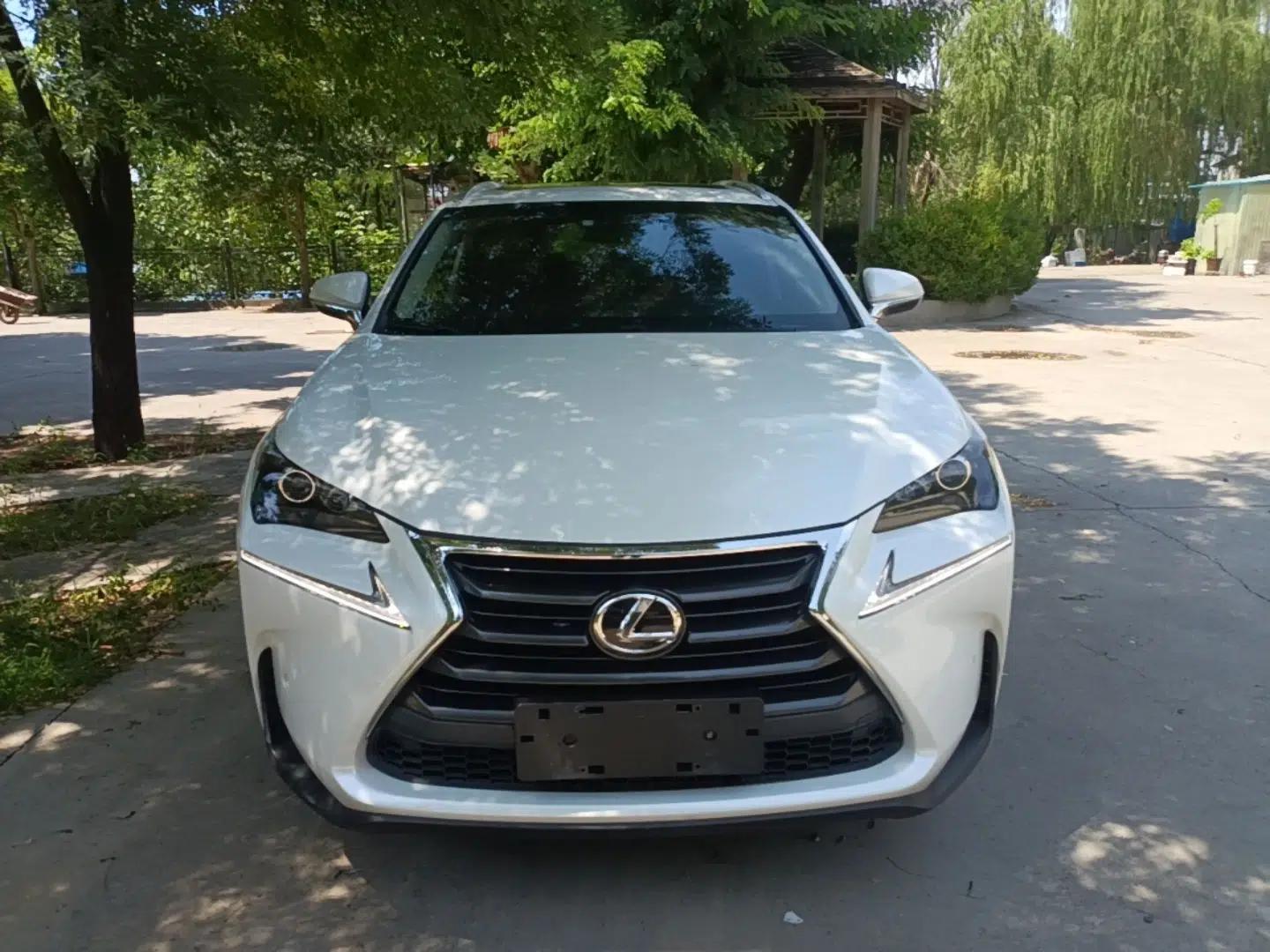 Lexus NX 2015 200T All-Wheel-Drive Fēngshàng Edition — миниатюра 2