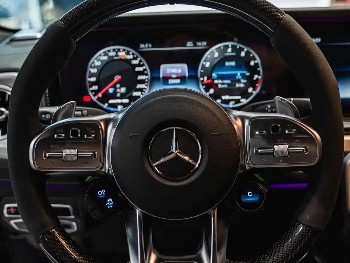 2021 Mercedes-Benz G-Class AMG 63 Wilderness Explorer — миниатюра 18