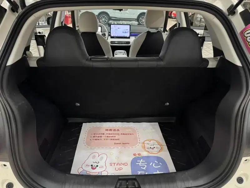 Nano 01 2024 Model 430Plus Smart+ — миниатюра 19