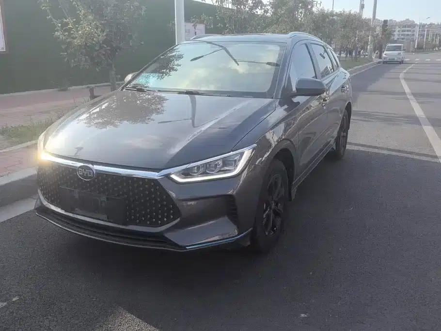 BYD e2 2019 Long Range Edition, Luxury Model — миниатюра 1