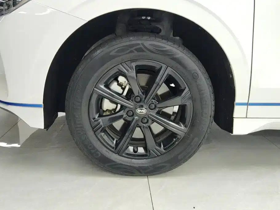 BYD e2 2021 Luxury Edition — миниатюра 6
