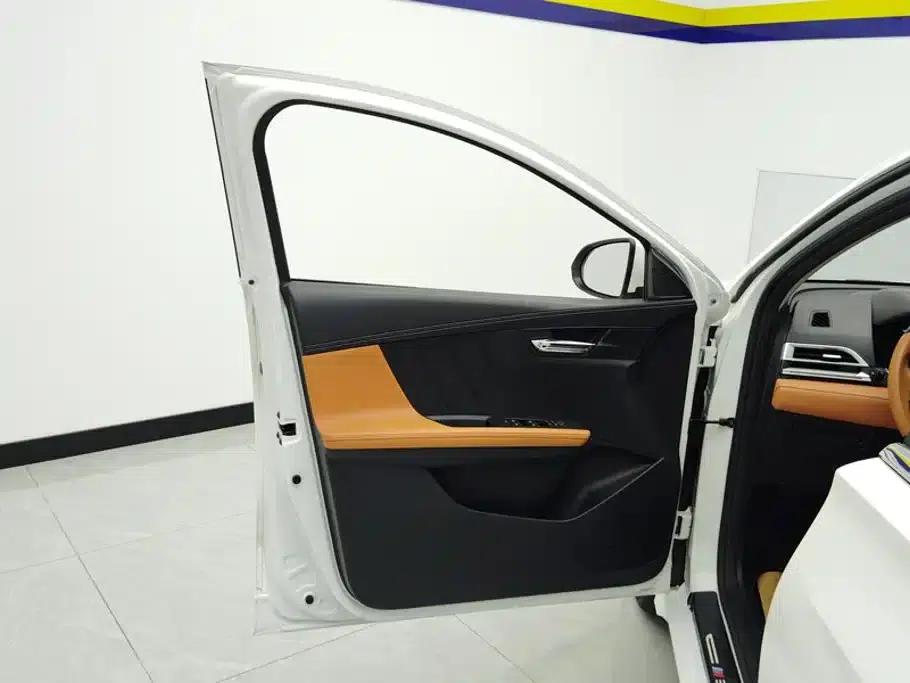 BYD e2 2021 Luxury Edition — миниатюра 7