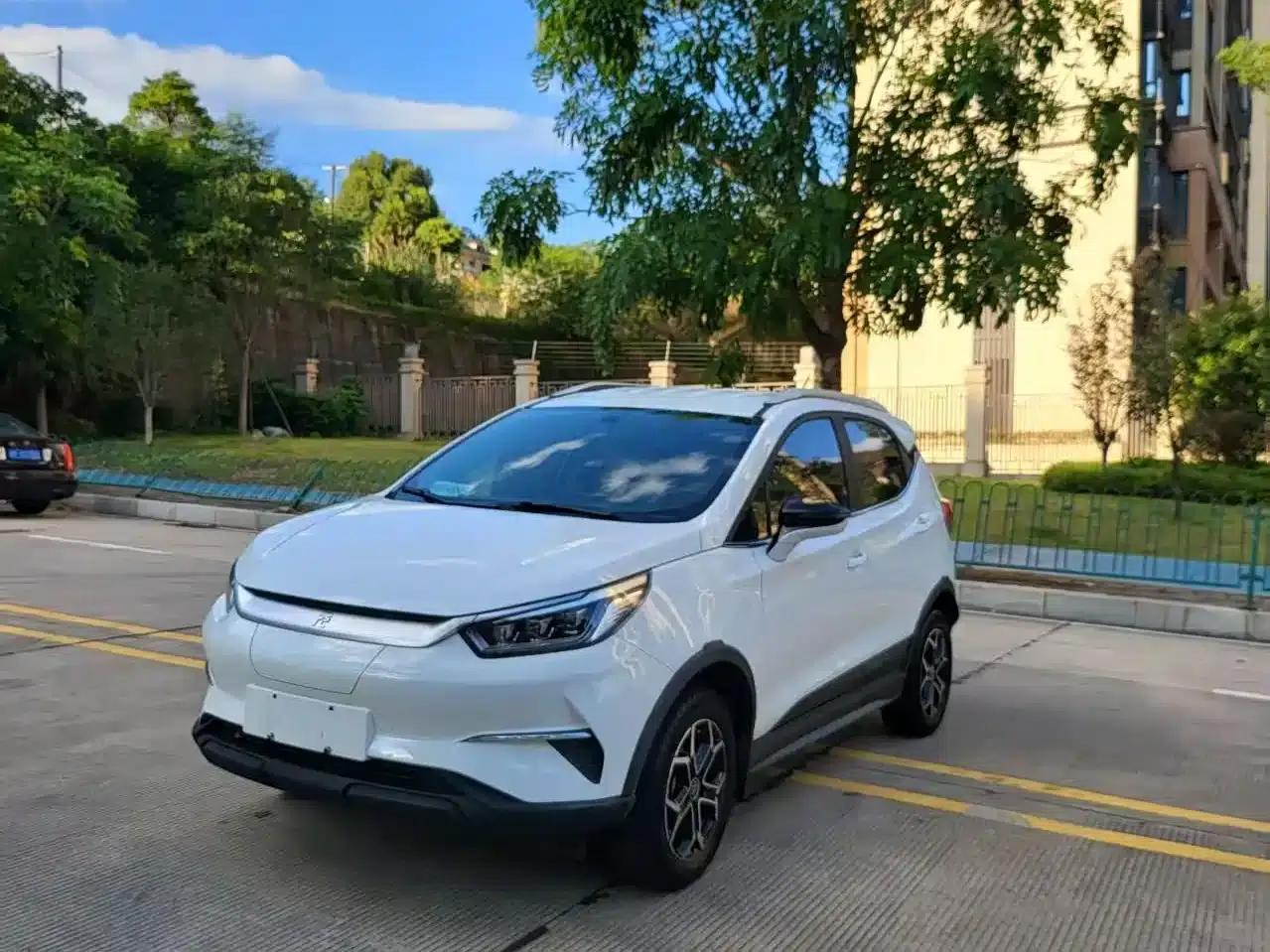 Yuan Pro 2021 Lifetime Edition — миниатюра 1